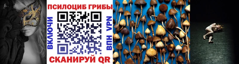 закладки  мега ссылка  Псилоцибиновые грибы мухоморы  Тбилисская 